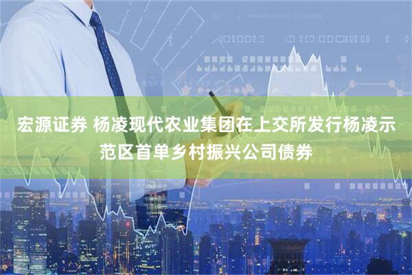宏源证券 杨凌现代农业集团在上交所发行杨凌示范区首单乡村振兴公司债券