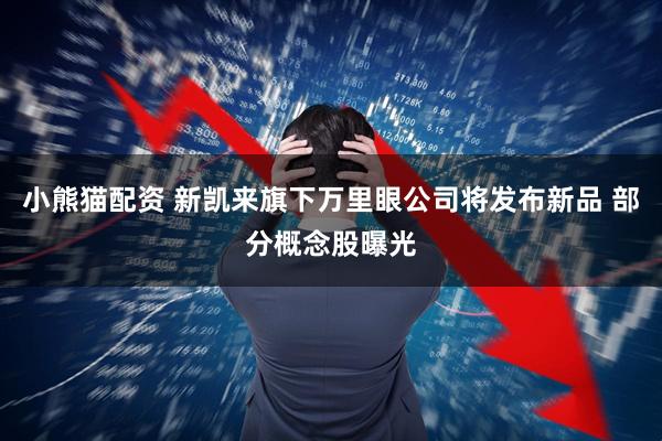小熊猫配资 新凯来旗下万里眼公司将发布新品 部分概念股曝光