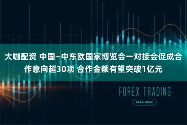 大咖配资 中国—中东欧国家博览会一对接会促成合作意向超30项 合作金额有望突破1亿元