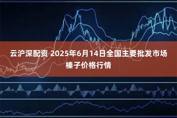云沪深配资 2025年6月14日全国主要批发市场榛子价格行情