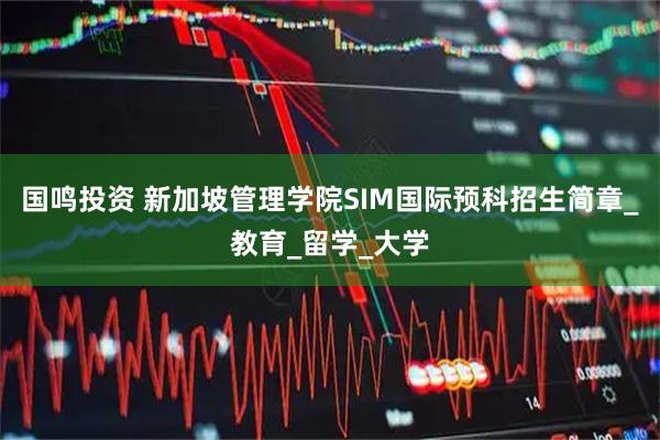国鸣投资 新加坡管理学院SIM国际预科招生简章_教育_留学_大学